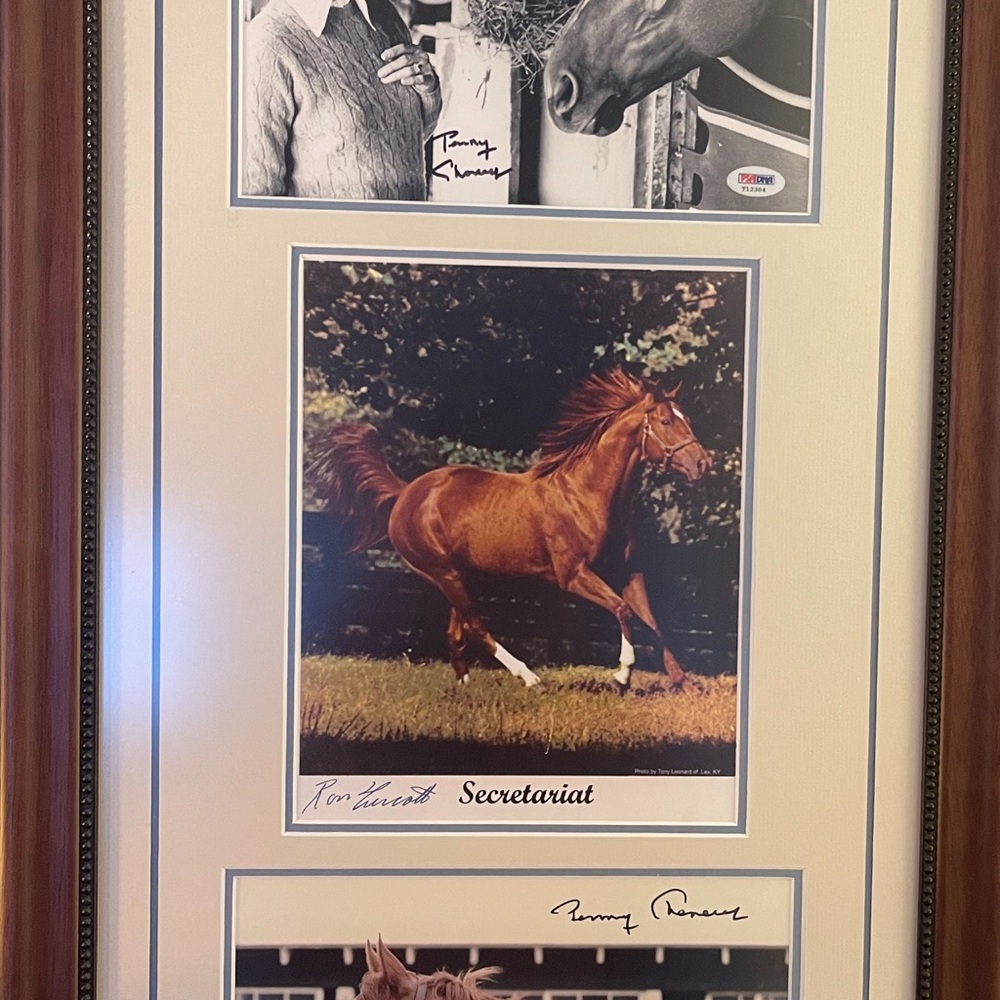 Secretariat, most famous horse of all